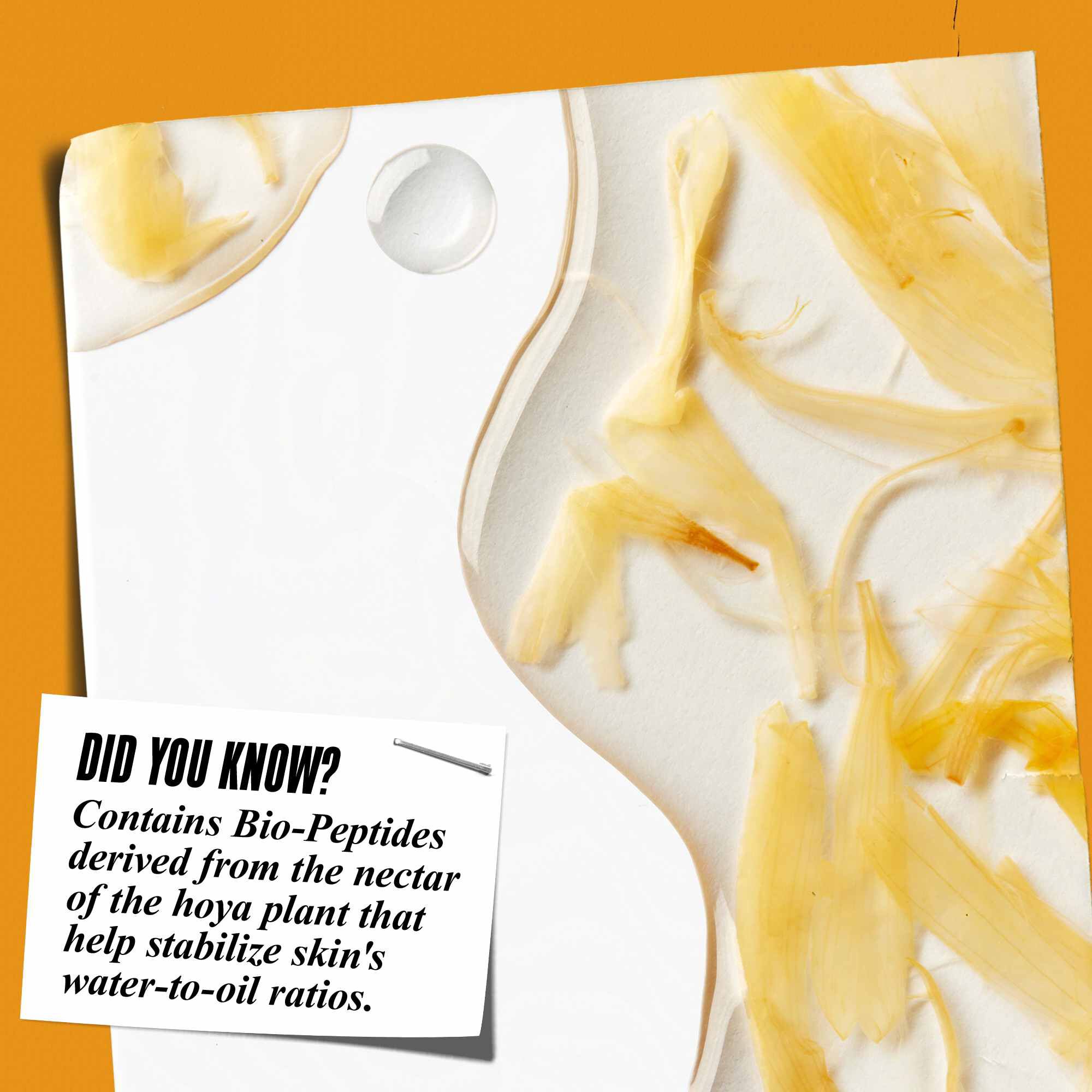 Krupni plan teksture Calendula Herbal-Extract tonera s laticama nevena i tekstom: "Jeste li znali? Sadrži bio-peptide dobivene iz nektara biljke hoya koji pomažu stabilizirati omjer vode i ulja u koži."