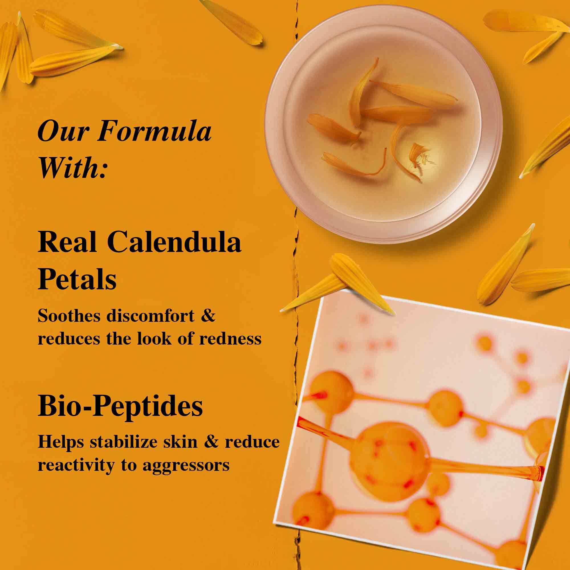 Latice cvijeta nevena.