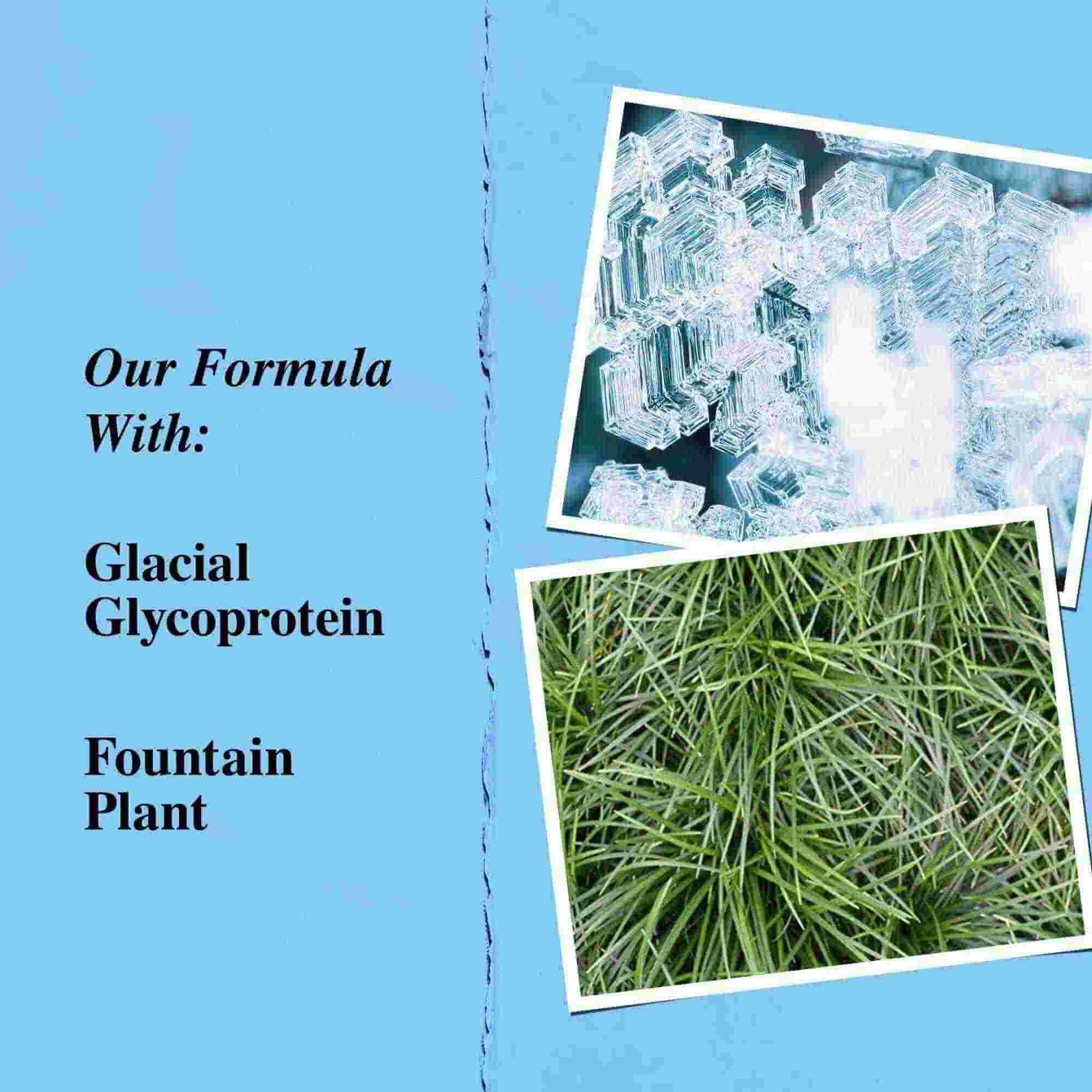 Prikaz ključnih sastojaka: glacijalni glikoprotein i biljka Ophiopogon japonicus.