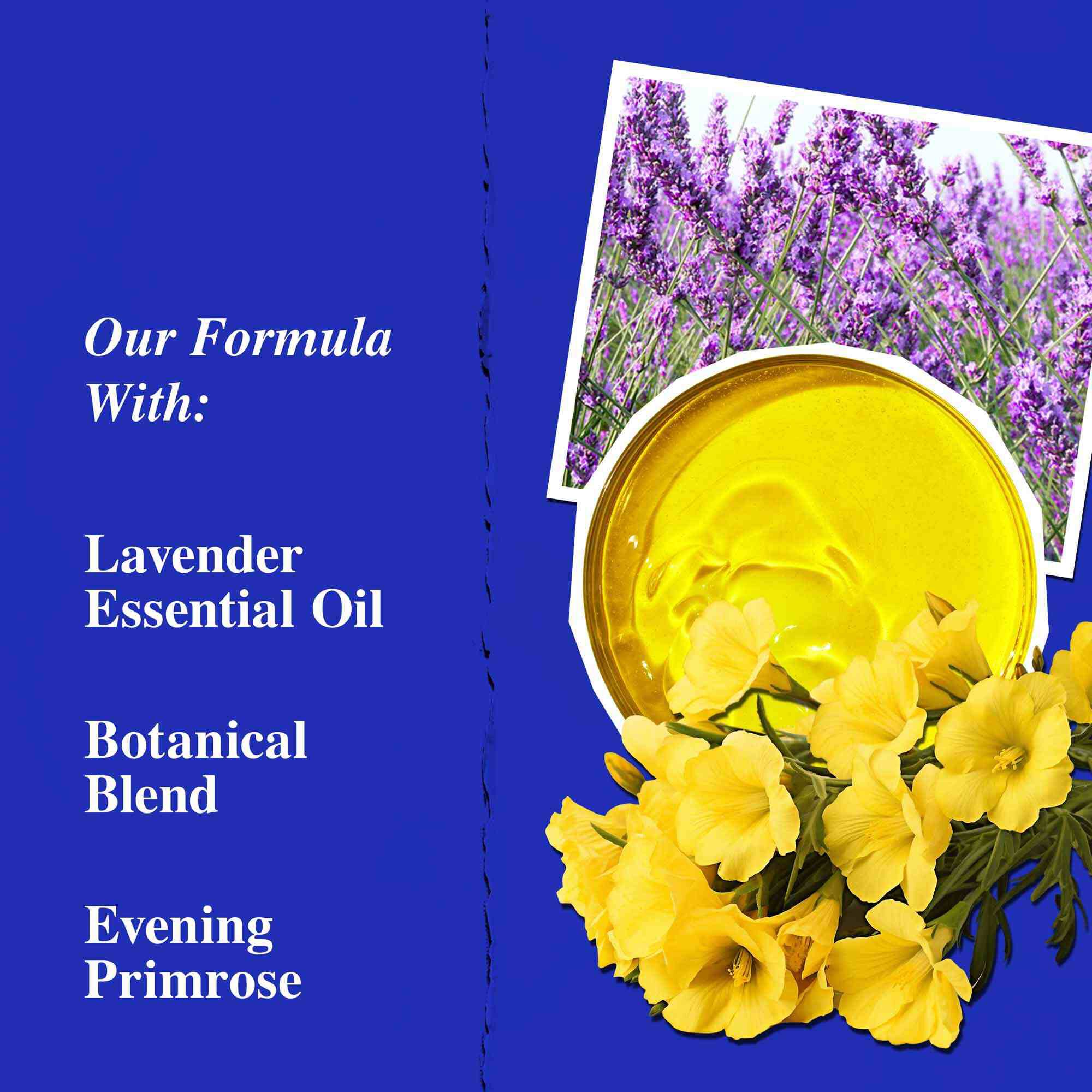 Ključni sastojci Midnight Recovery Concentrate proizvoda, ističući eterično ulje lavande, ulje noćurka i skvalan.