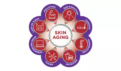 A circular diagram illustrating the factors contributing to skin aging, including pollution, sun radiation, tobacco, temperature change, toxins, nutrition, lack of sleep, and work environment, all surrounding a central label that reads "Skin Aging."