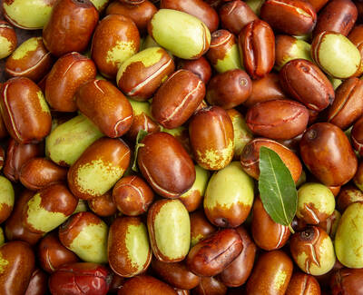 A close-up of a pile of jujube fruits, showcasing a mix of brown and green varieties, with some shiny and others slightly blemished.